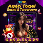 togel oke